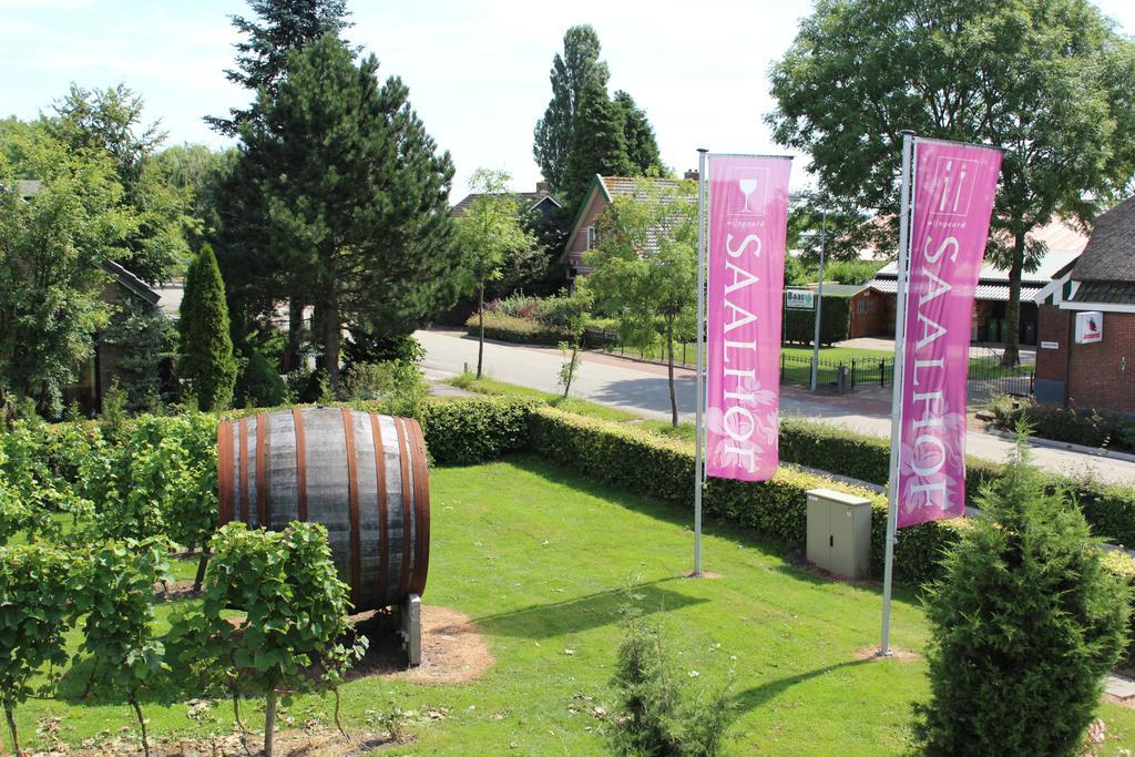 Bed and Breakfast Wijngaard Saalhof Wognum Exterior foto